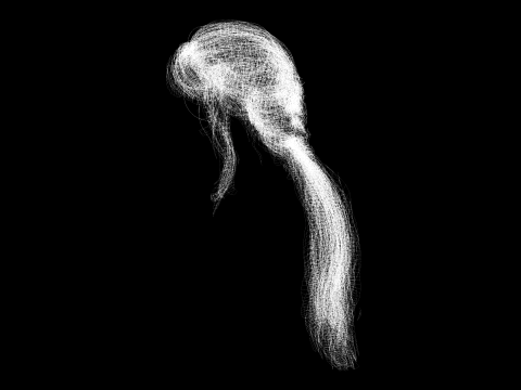 Realistic Female hair long tail 3D Model