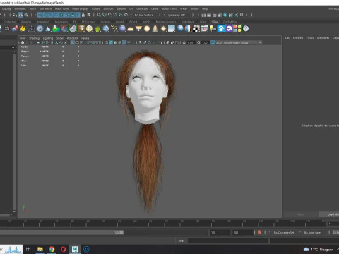 Realistic Female hair long tail 3D Model