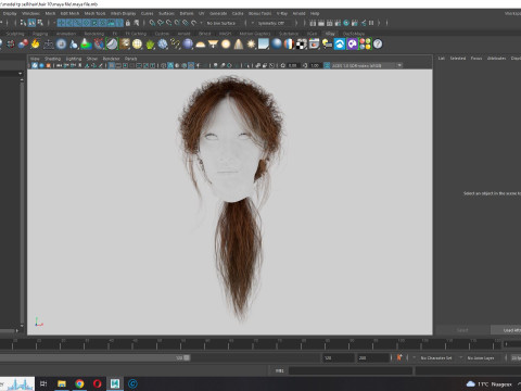Realistic Female hair long tail 3D Model