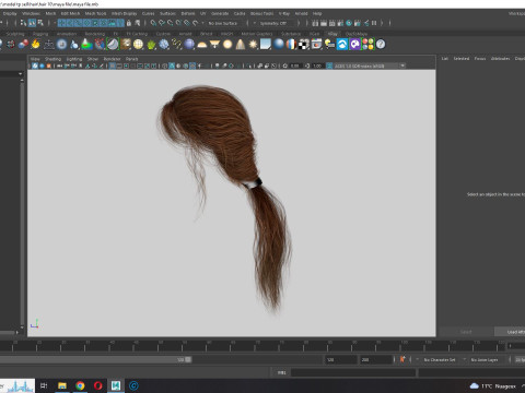 Realistic Female hair long tail 3D Model