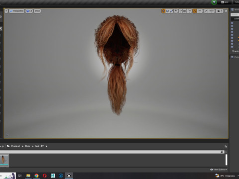 Realistic Female hair long tail 3D Model