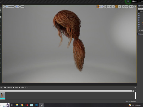 Realistic Female hair long tail 3D Model