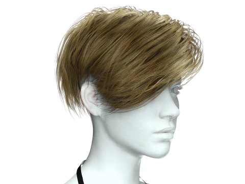 Realistic Female hair short 3D Model