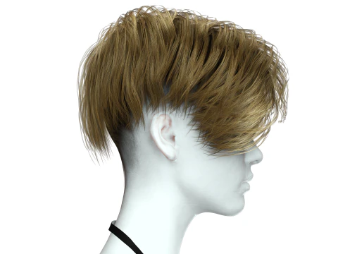 Realistic Female hair short 3D Model