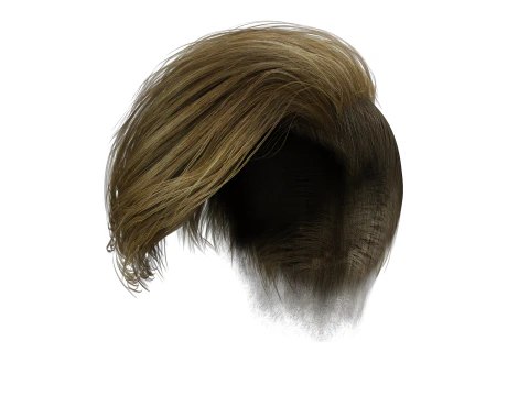 Realistic Female hair short 3D Model