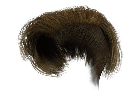 Realistic Female hair short 3D 模型