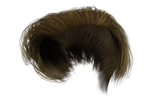 Realistic Female hair short 3D Model