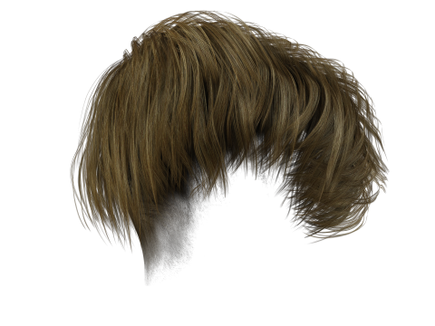 Realistic Female hair short 3D 模型