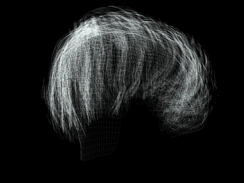 Realistic Female hair short 3D Model
