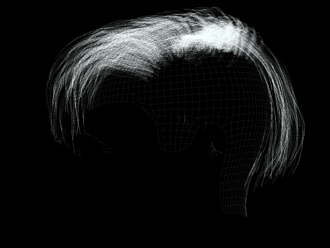 Realistic Female hair short 3D 模型