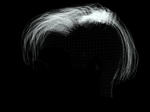 Realistic Female hair short 3D Model