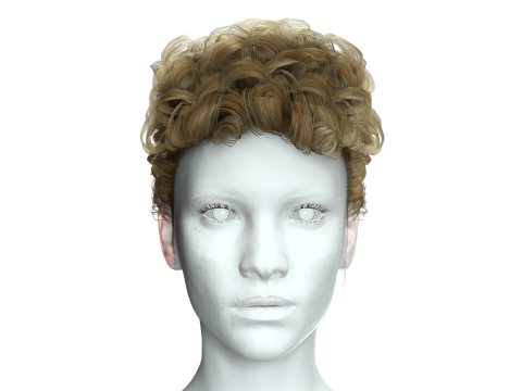 Realistic Female hair modern 3D 模型