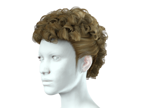 Realistic Female hair modern 3D 模型