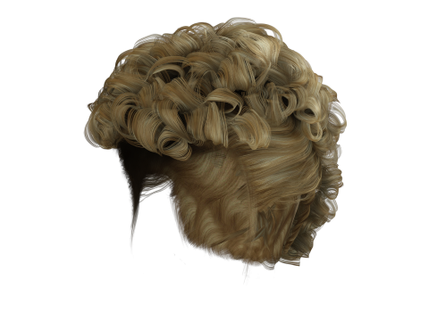 Realistic Female hair modern 3D 模型