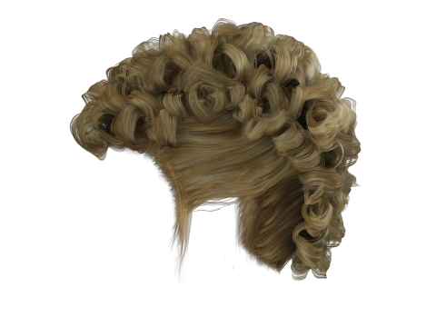Realistic Female hair modern 3D 模型