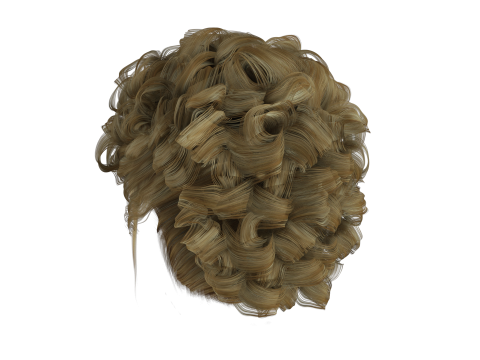 Realistic Female hair modern 3D 模型