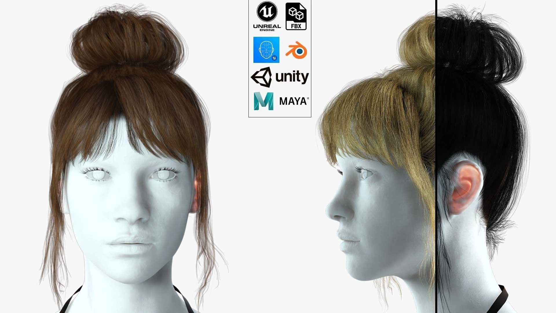 Realistic Female hair colorable 3D Model .c4d .max .obj .3ds .fbx .stl .blend