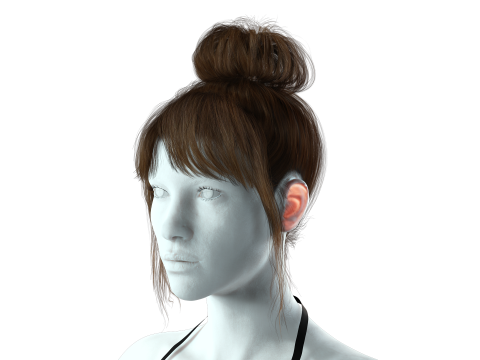 Realistic Female hair colorable Modello 3D