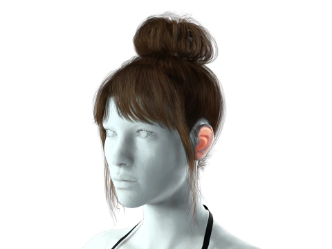 Realistic Female hair colorable 3D Model