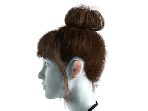 Realistic Female hair colorable 3D Model