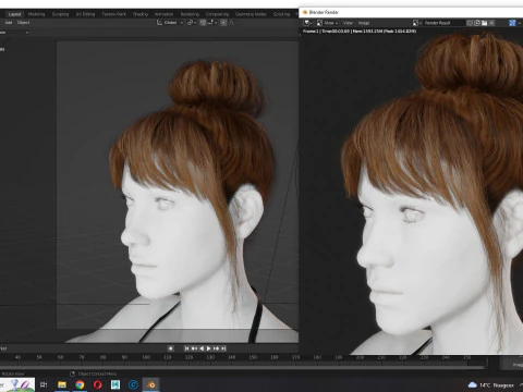 Realistic Female hair colorable 3D Model
