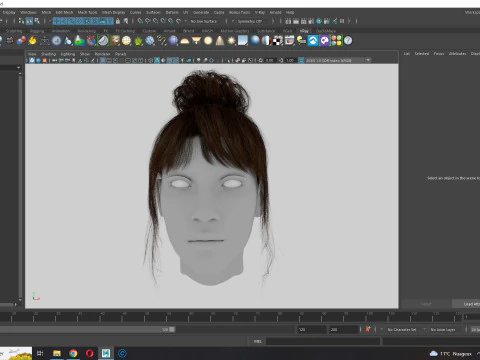 Realistic Female hair colorable 3D Model