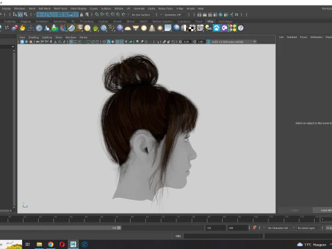 Realistic Female hair colorable 3D Model