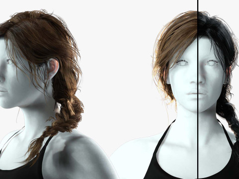 Realistic Female hair braid side 3D 模型