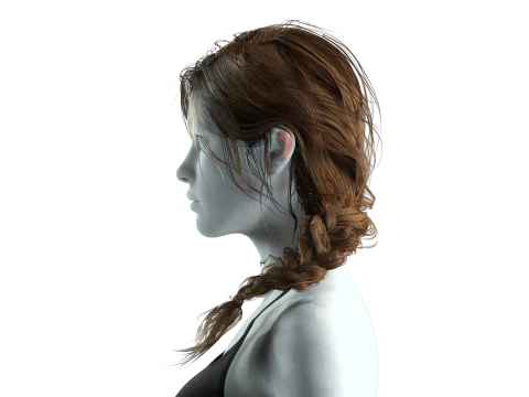 Realistic Female hair braid side 3D Model