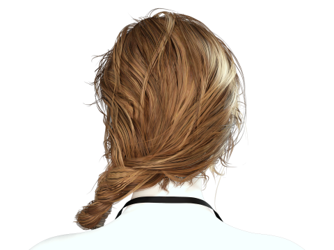 Realistic Female hair braid side 3Dモデル