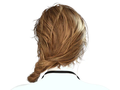 Realistic Female hair braid side 3D Model