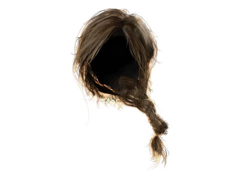Realistic Female hair braid side 3D Model