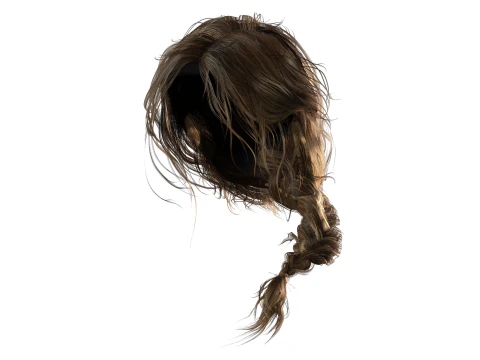 Realistic Female hair braid side 3D Model