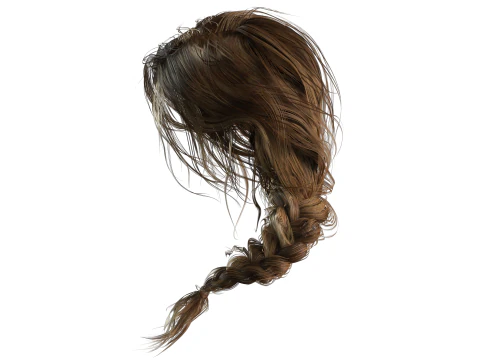 Realistic Female hair braid side 3D Model