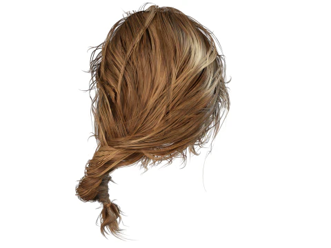 Realistic Female hair braid side 3D Model