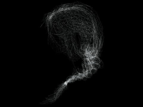 Realistic Female hair braid side 3Dモデル
