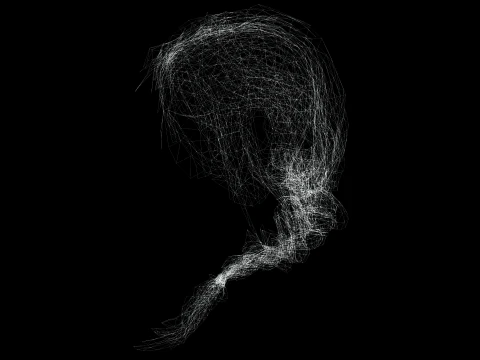 Realistic Female hair braid side 3D Model