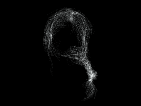 Realistic Female hair braid side 3Dモデル