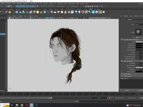 Realistic Female hair braid side 3Dモデル