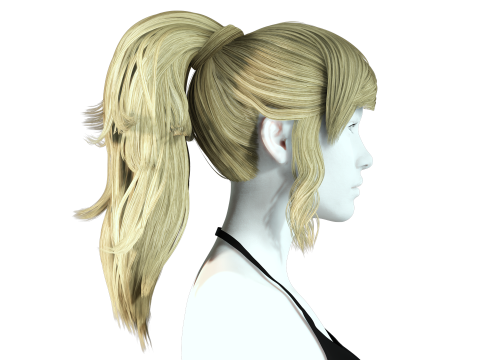 Realistic Female hair band 3D Model