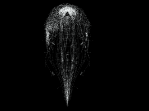 Realistic Female hair band 3D Model