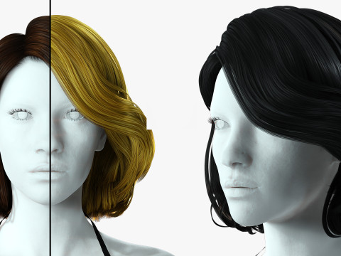 Realistic female hair 3D 모델