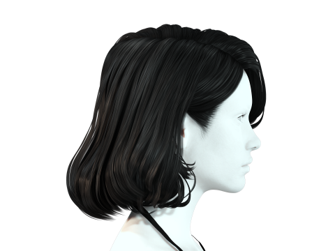 Realistic female hair 3D मॉडल