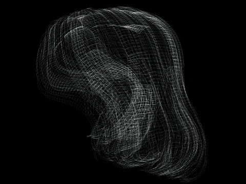 Realistic female hair 3D Model