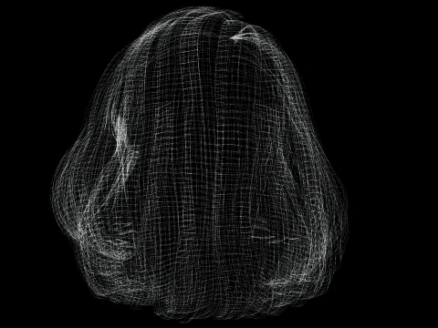 Realistic female hair 3D Model
