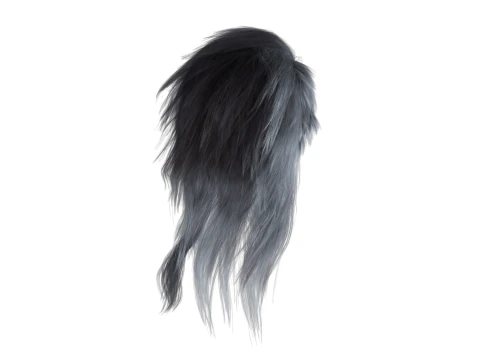 Realistic hair cyberpunk long 3D Model