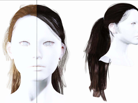 Ponytail Female Hair 3D Model