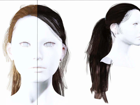 Cabelo Feminino Rabo de Cavalo Modelo 3D