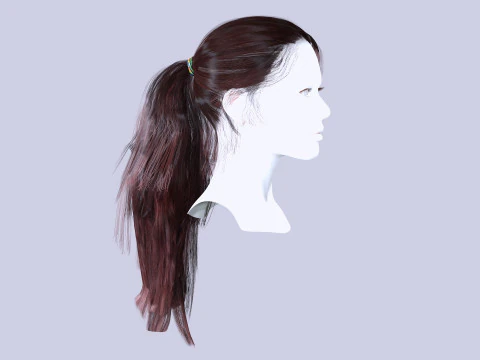 Ponytail Female Hair 3D Model