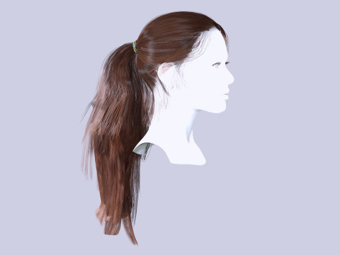 Ponytail Female Hair 3D मॉडल